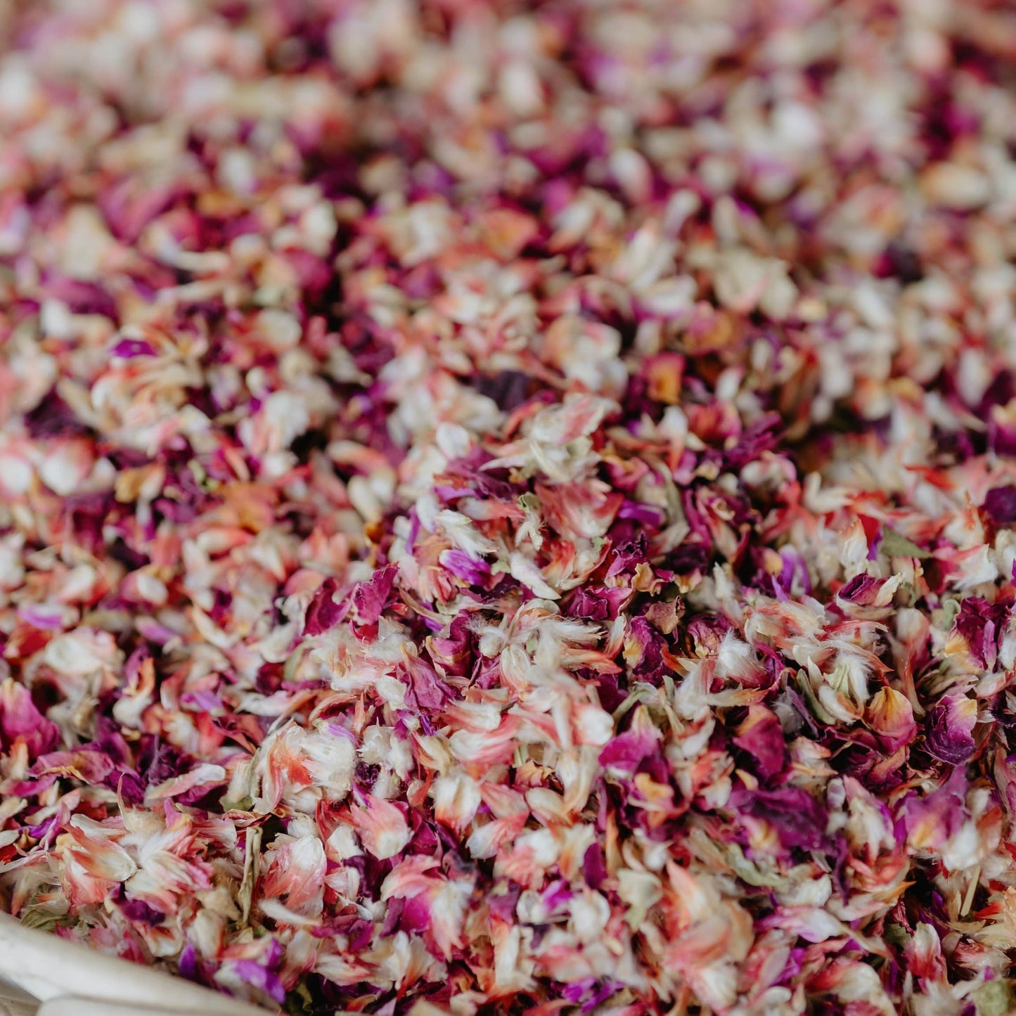 50 Guest Confetti Basket Bundle