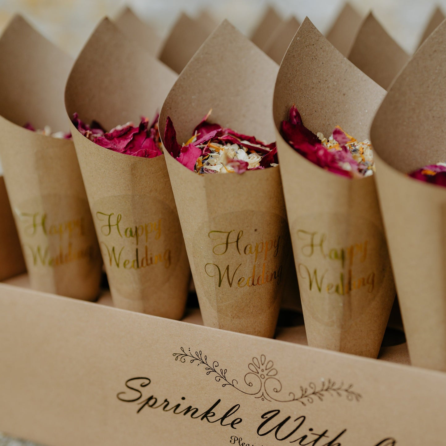 30 Guests Paper Cones & Holder for Confetti