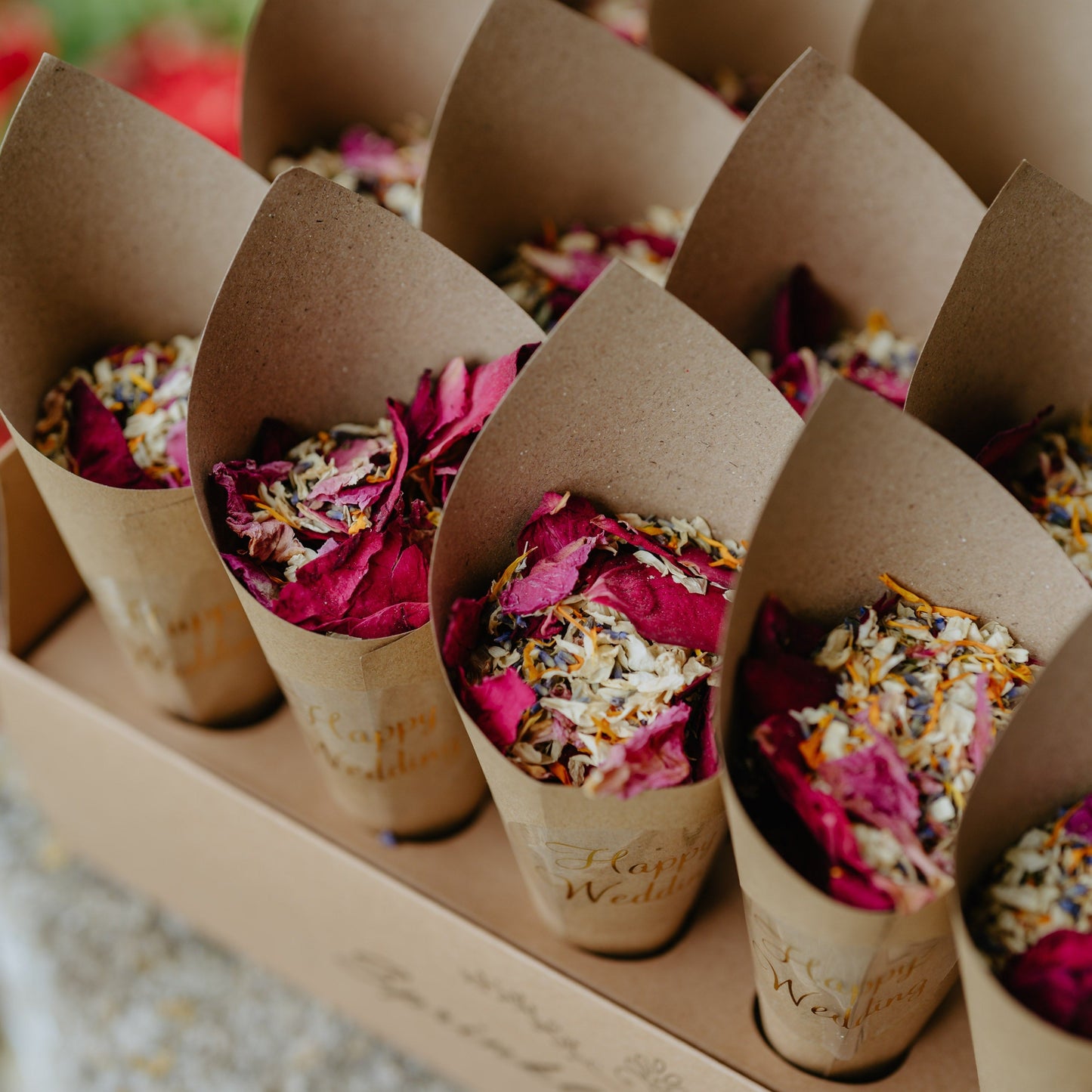 30 Guests Paper Cones & Holder for Confetti