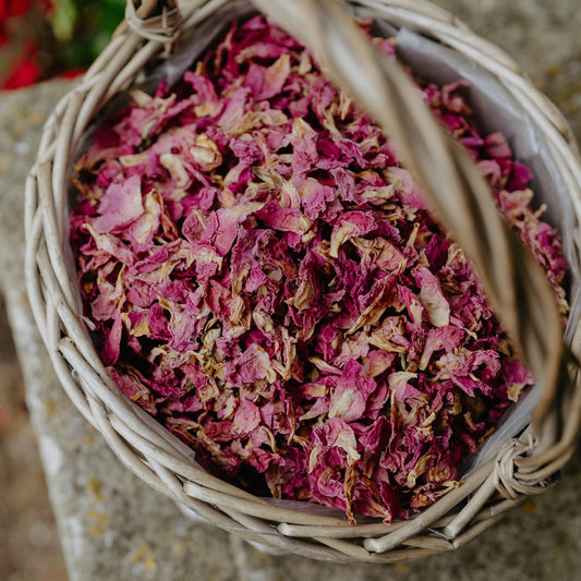 Premium Dried Peony Petals Confetti