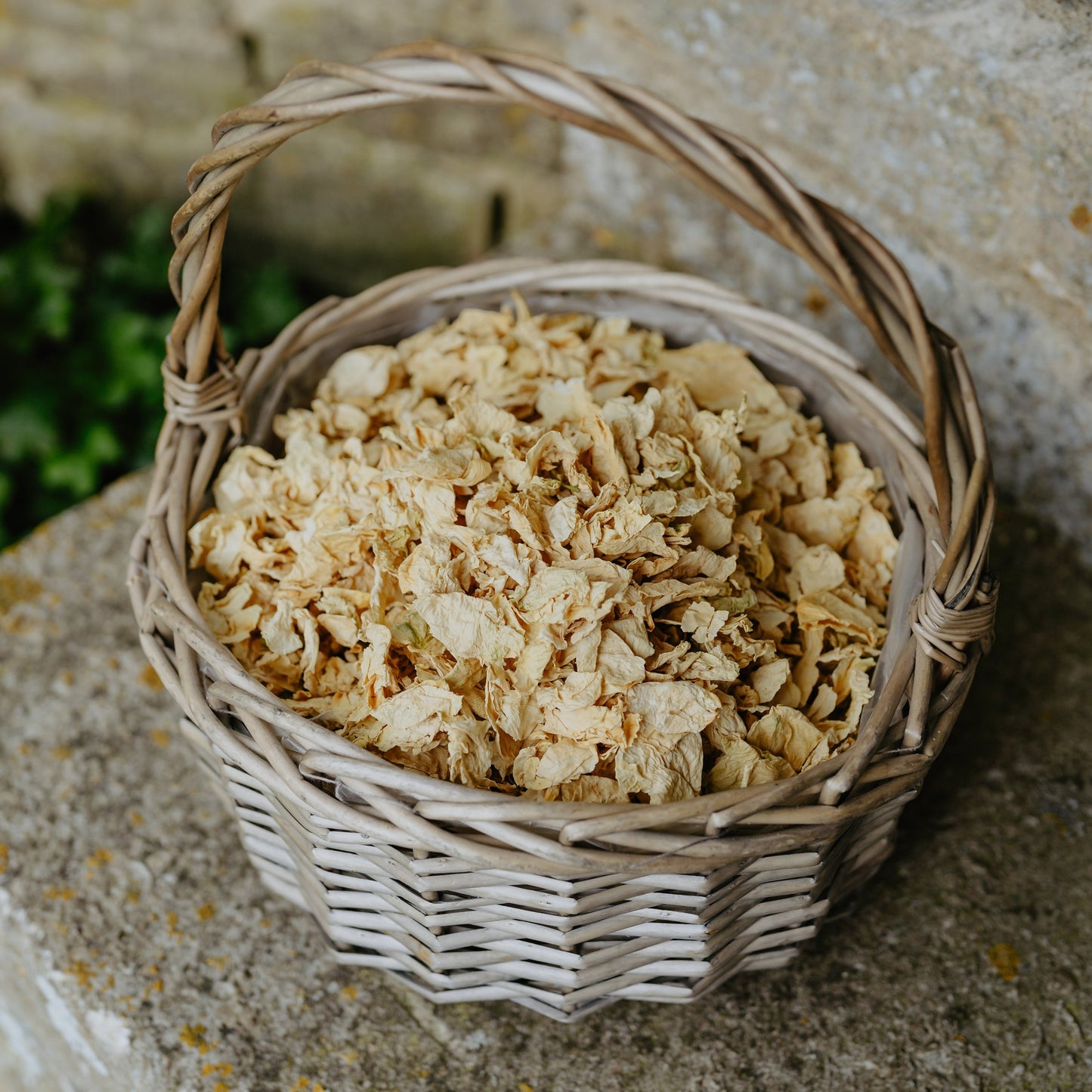 Premium Dried White Rose Petals Confetti