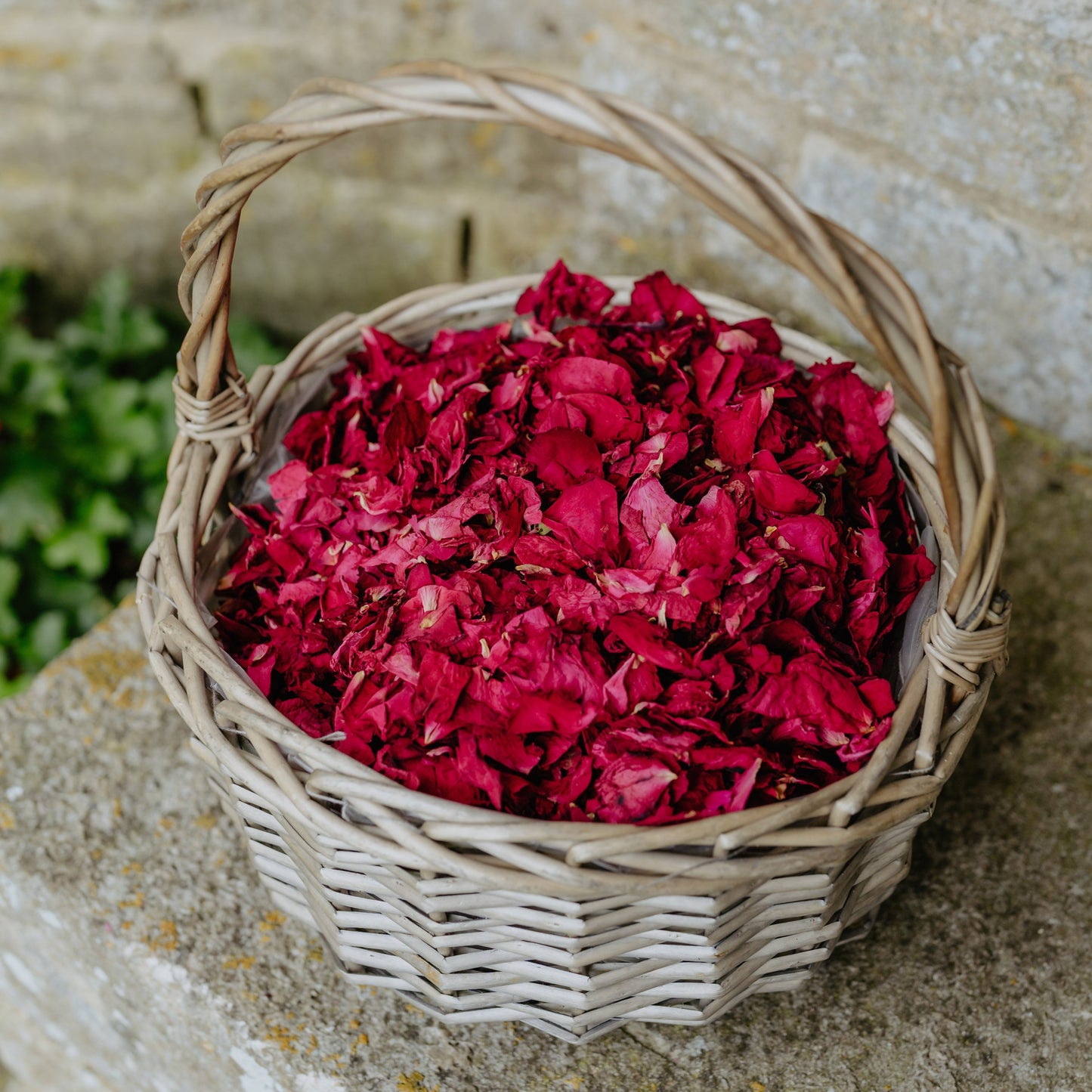 Premium Dried Rose Petals Confetti