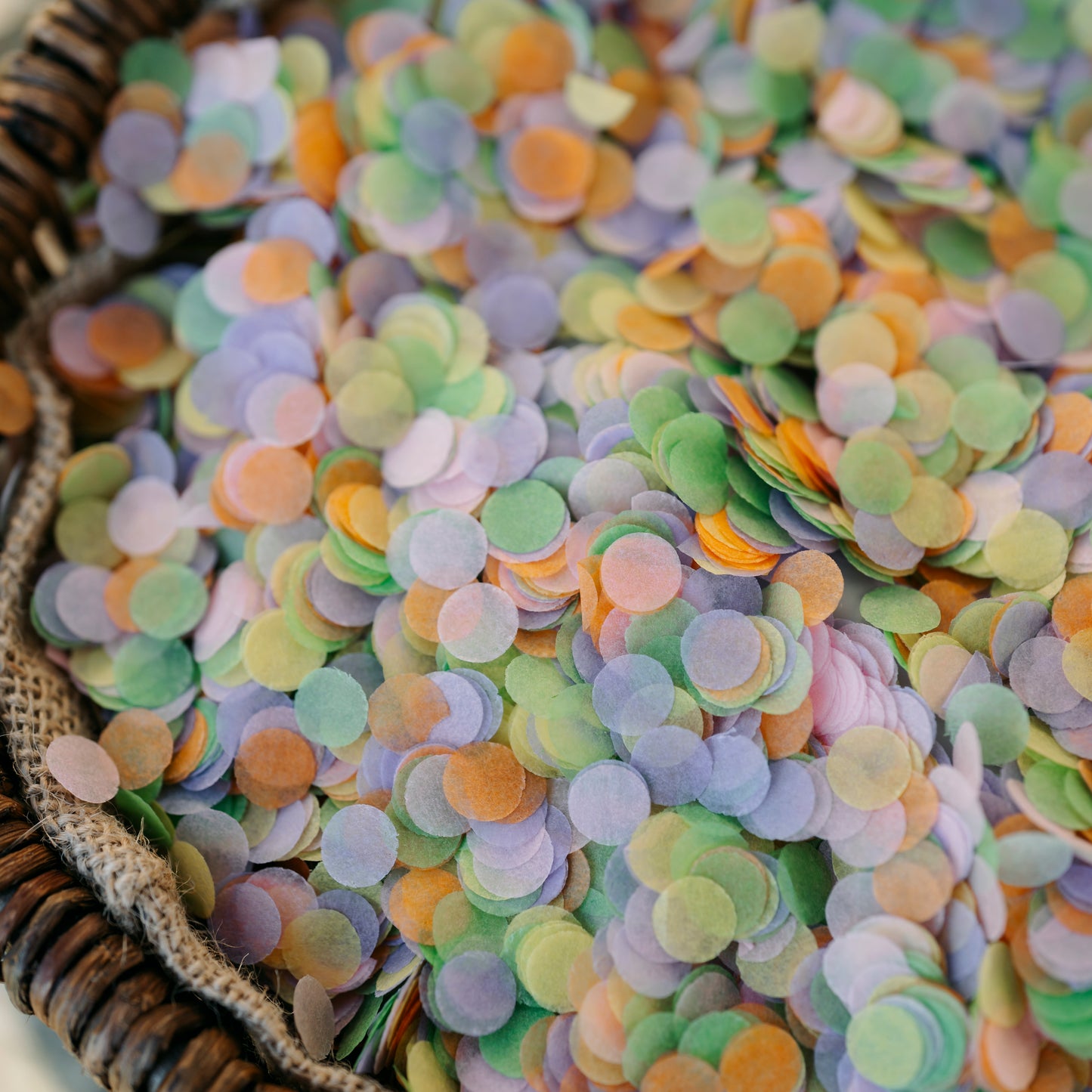 Small Multi Colour Biodegradable Paper Confetti