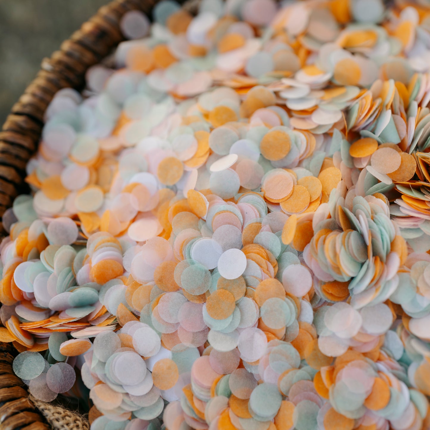 Small Multi Colour Biodegradable Paper Confetti