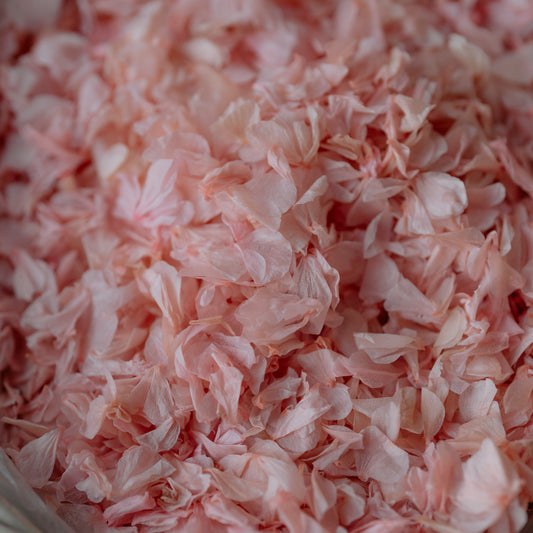 Premium Pink Hydrangea Petals Confetti