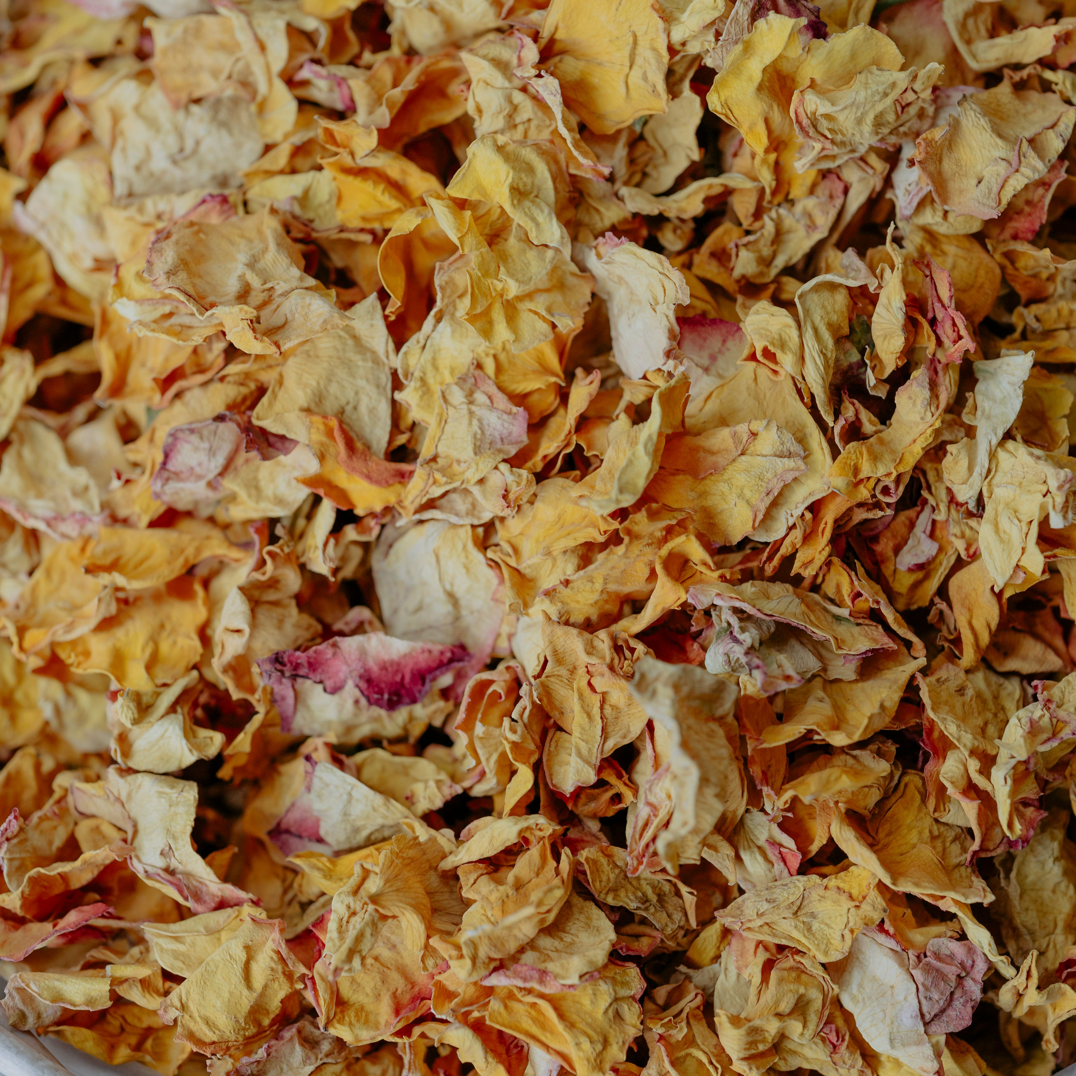 Premium Dried Yellow Rose Petals Confetti – Cotswold Confetti