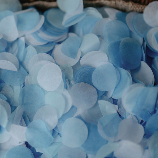 Blue & White Biodegradable Paper Confetti